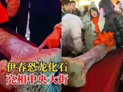 Tải video: 尔滨这次请动了化石！伊春恐龙化石亮相中央大街