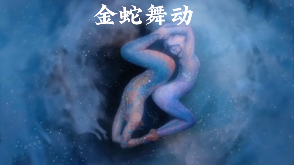 金蛇舞动,杨丽萍春晚《蛇舞》!