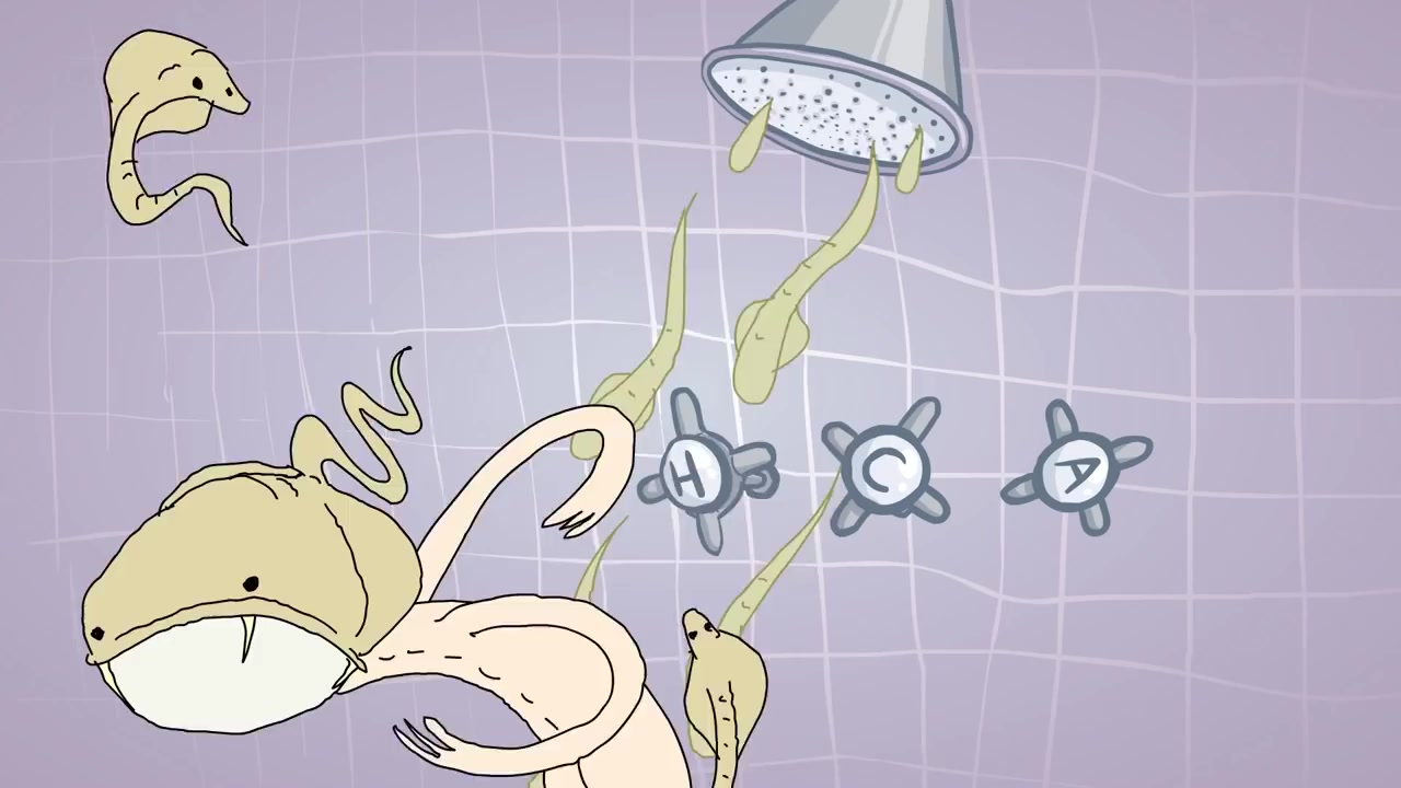 【超丧动画短片合集】【来自felix colgrave】