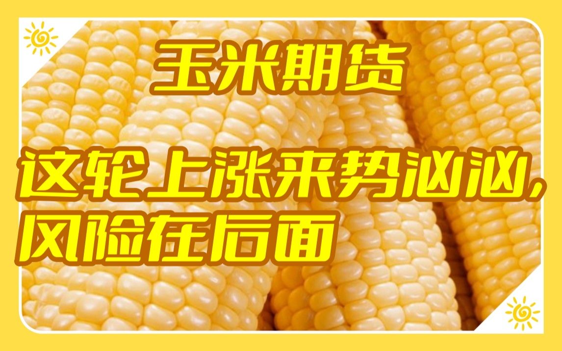 【玉米期货】这轮上涨来势汹汹,风险在后面