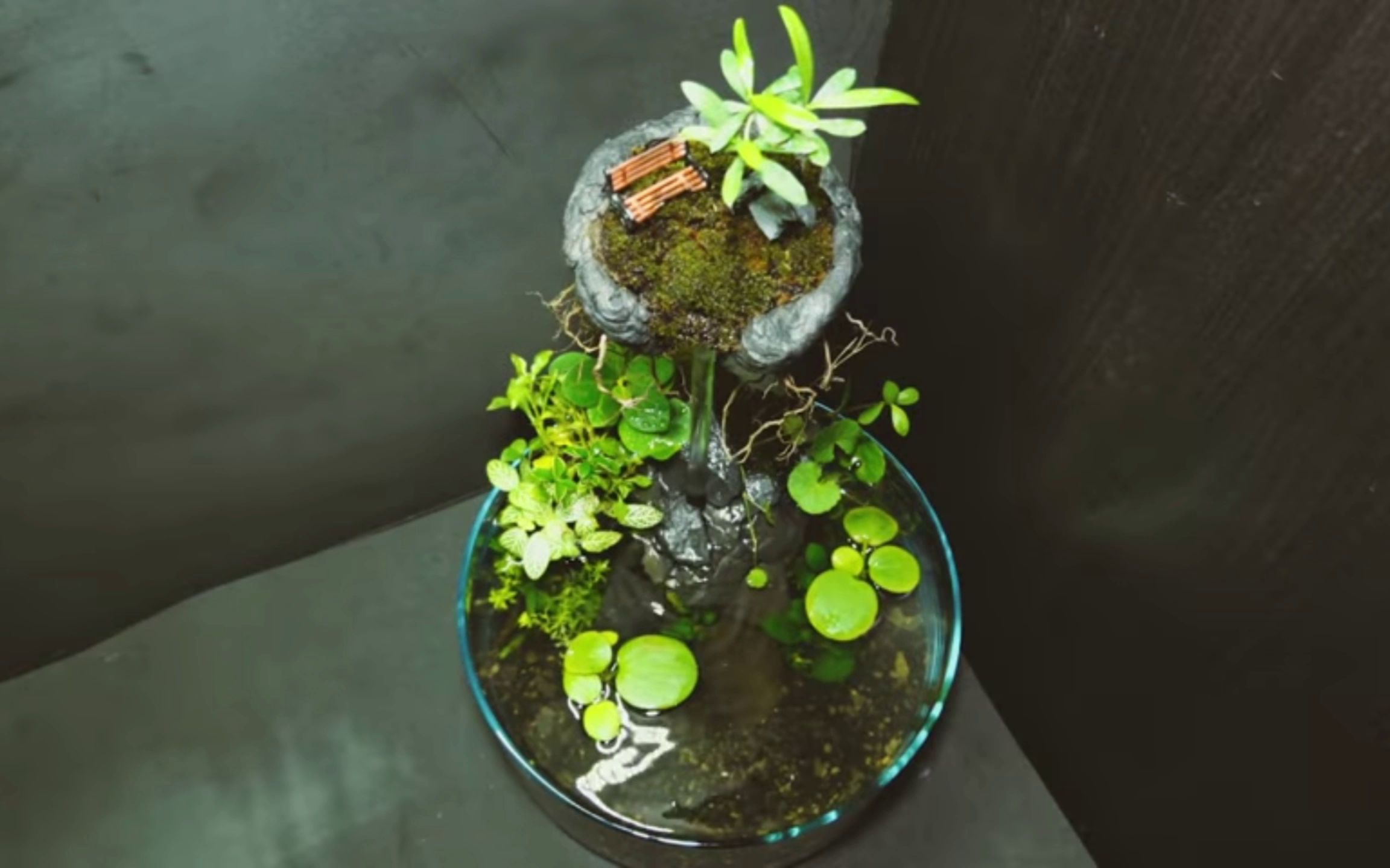 水族 观赏鱼 桌面创意水陆缸 微景观