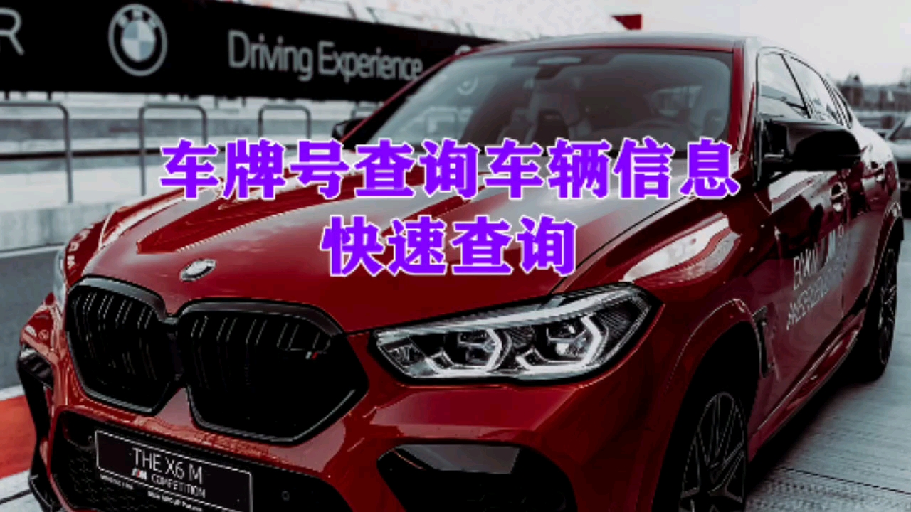 车辆信息怎么查询?