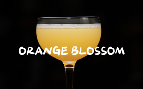 【经典】鸡尾酒-orange blossom-调酒匠jiok-调酒匠jiok-哔哩哔哩视频