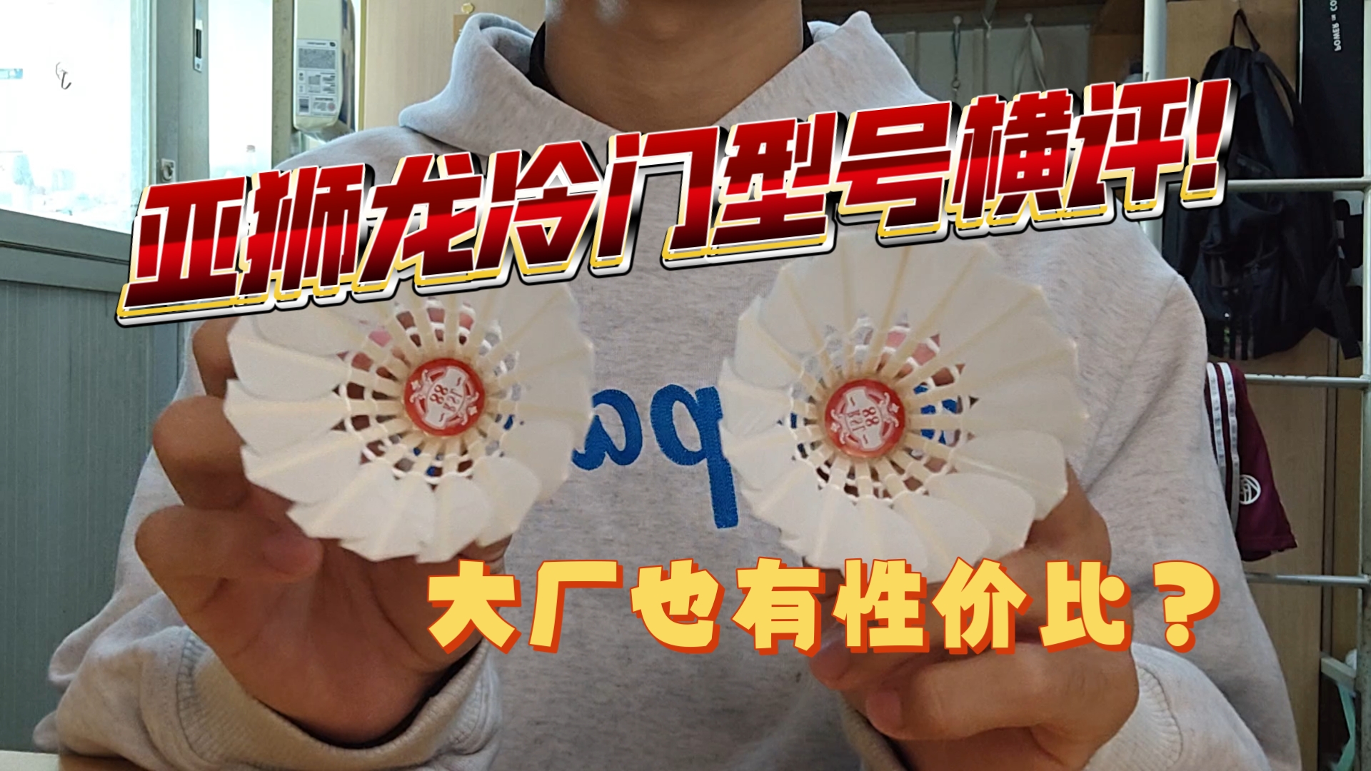 三款冷门亚狮龙型号横评!大牌子有没有什么性价比高的型号呢?