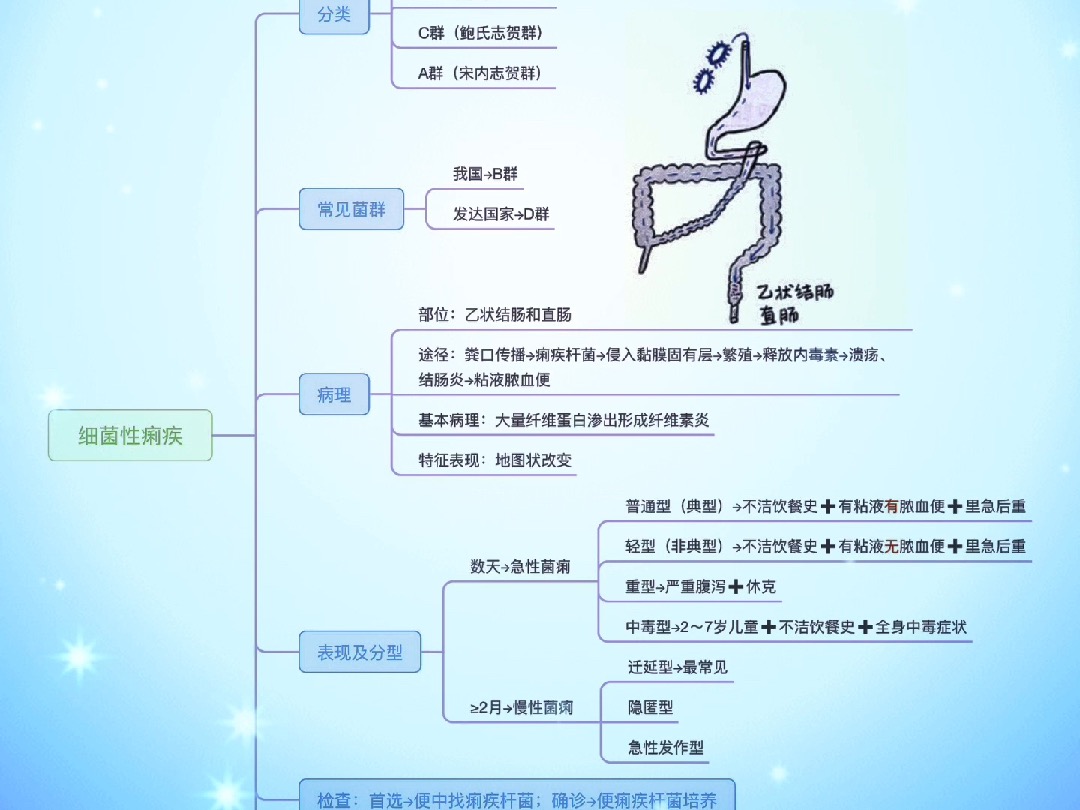 传染性疾病细菌性痢疾(思维导图知识卡片)哔哩哔哩bilibili