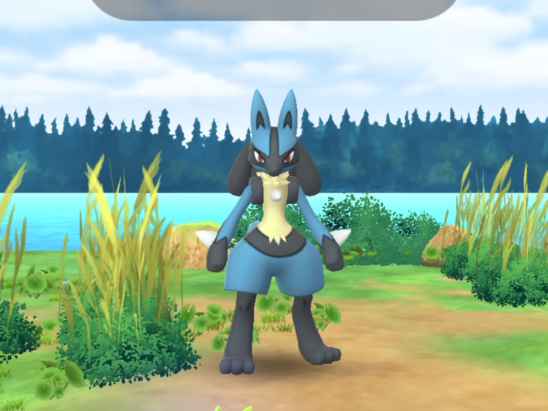 mega路卡利欧单打