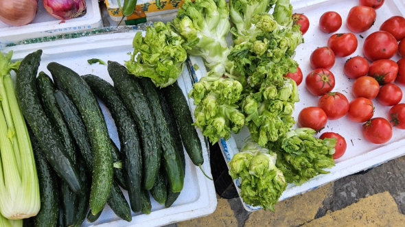 我们这里叫这个"多仔菜",哈哈哈