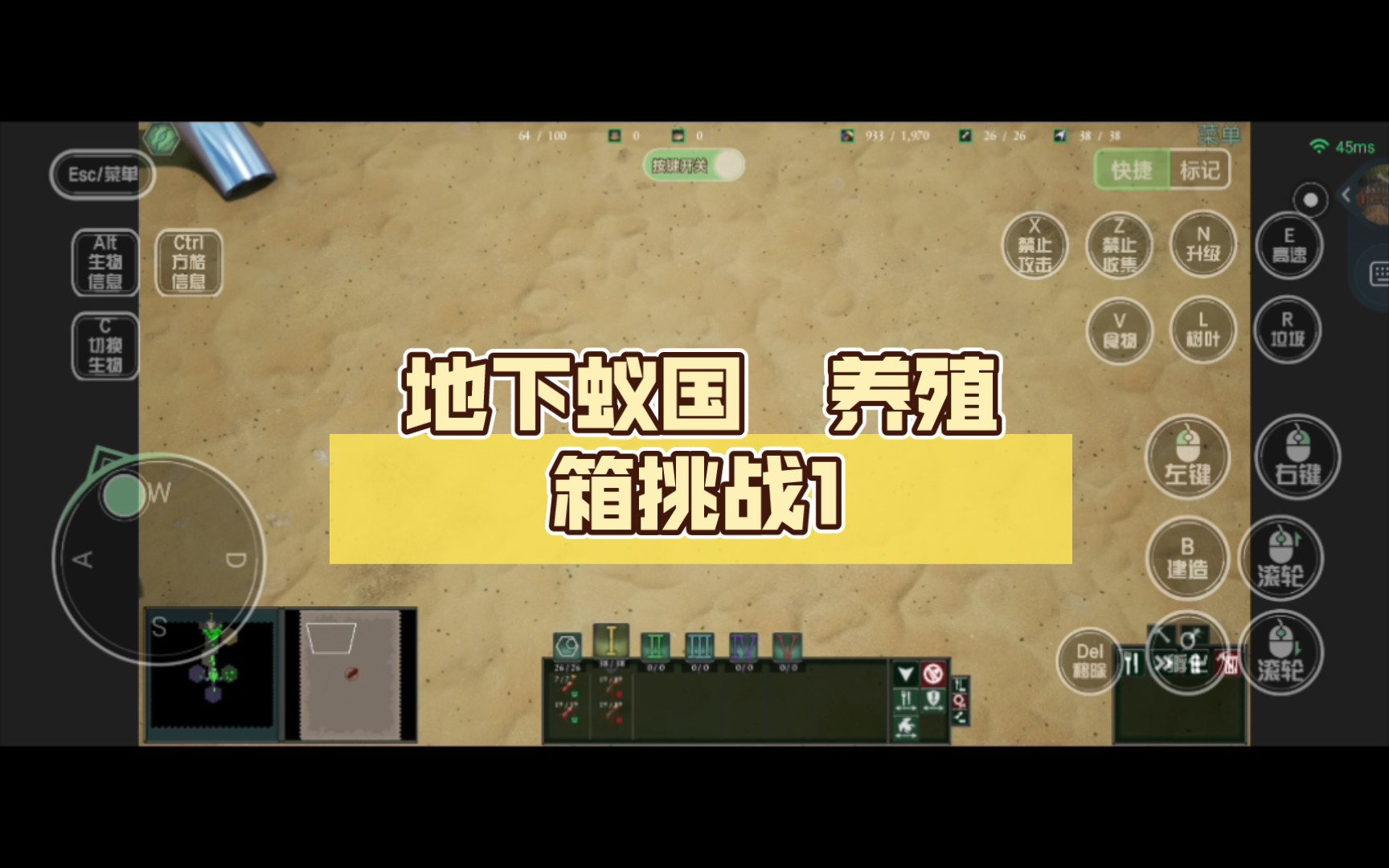 地下蚁国 养殖箱挑战1