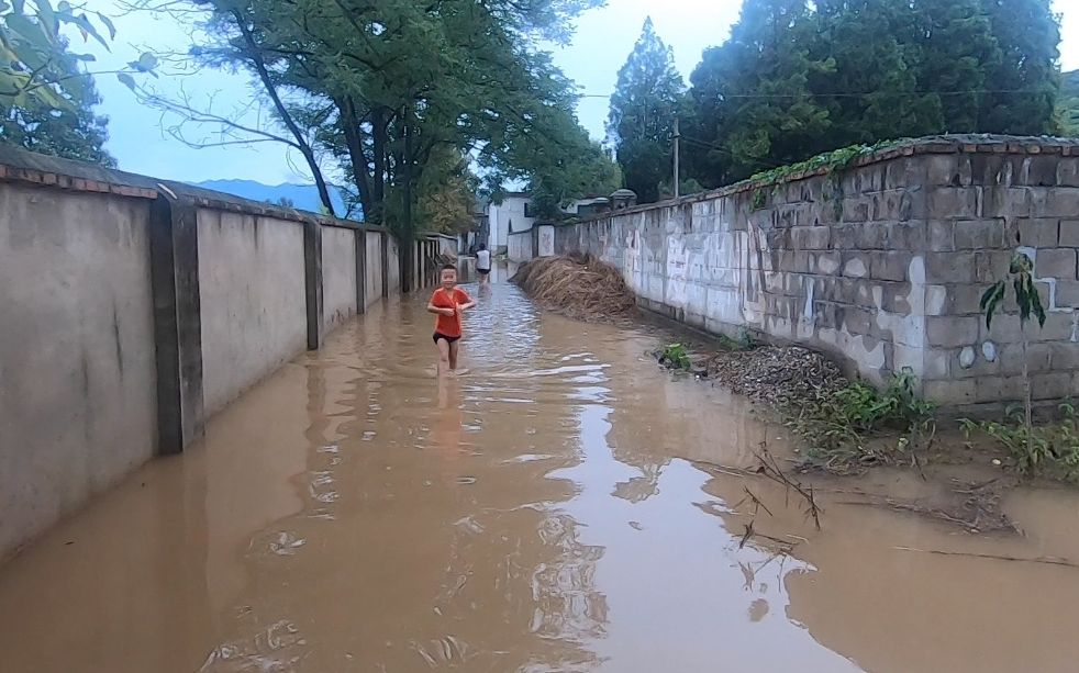 甘肃农村连续暴雨,乡路变河道,庄稼房屋受灾严重哔哩哔哩bilibili