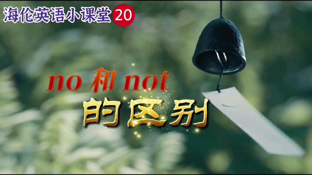 no和not的区别【海伦英语小课堂20】哔哩哔哩bilibili