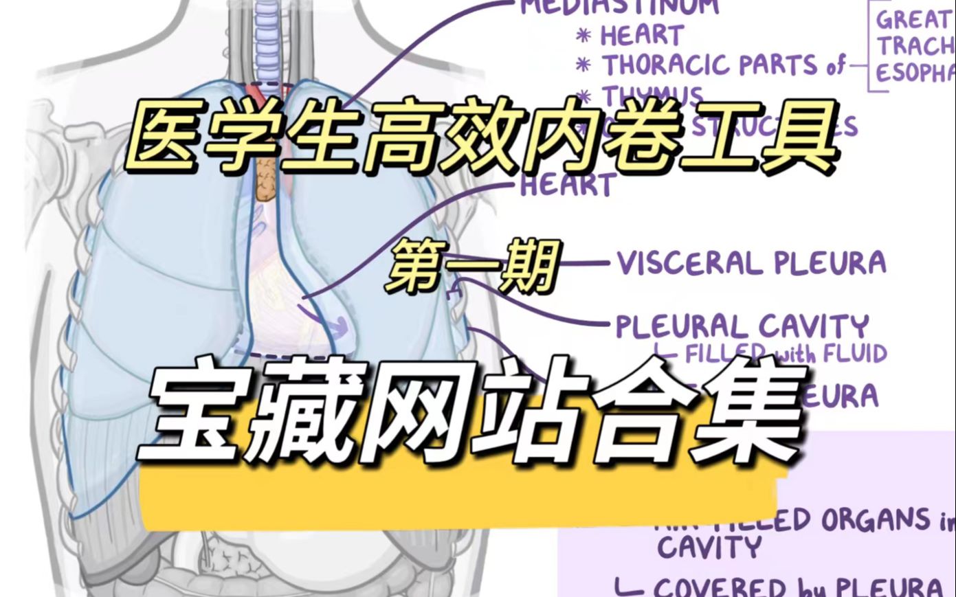 医学生高效内卷必须知道的9个网站(上)涵盖基础、临床、医药、影像哔哩哔哩bilibili