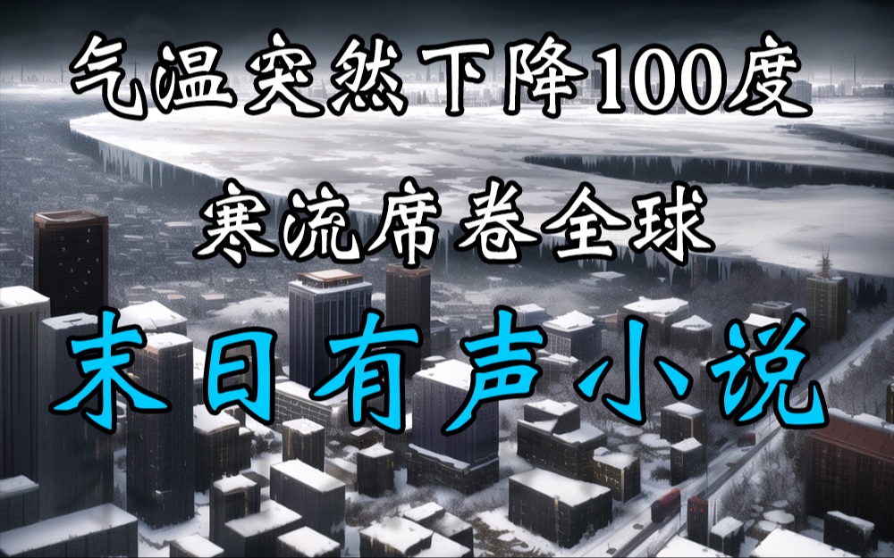 《零度风暴》2沉浸式听小说,气温突然下降100度,末日如何生存下去哔哩哔哩bilibili