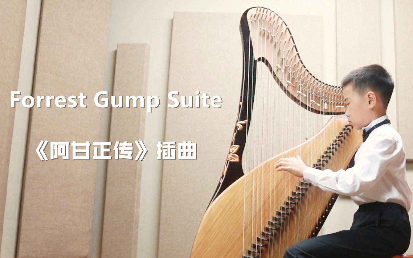 [图]【箜篌】Forrest Gump Suite——武泽昊