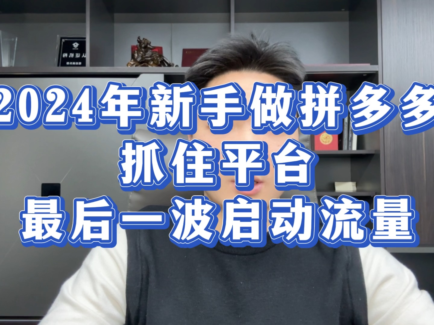 新手做拼多多抓住平台最后一波启动流量告别新品冷启动期哔哩哔哩bilibili