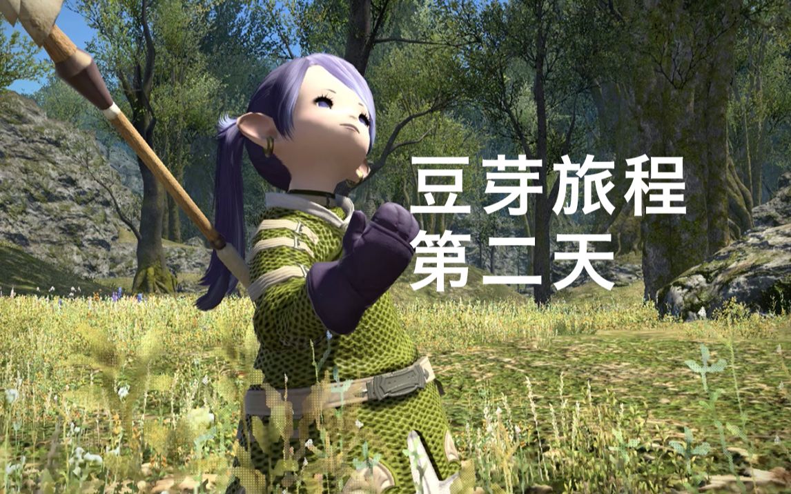 ff14第二天豆芽会被卡多少任务