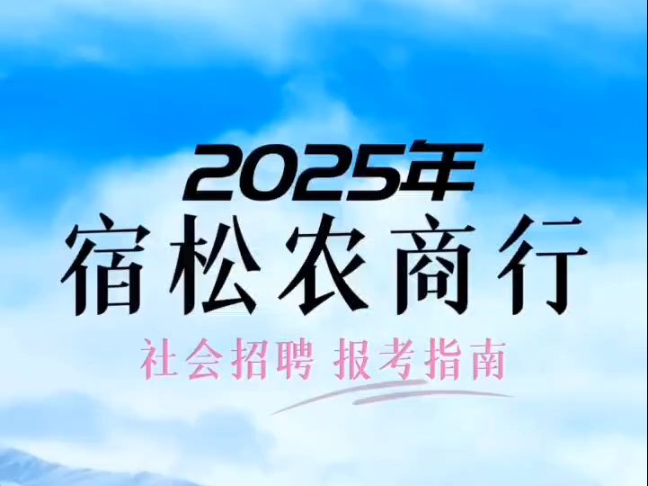 2025年宿松农商行社会招聘报考指南哔哩哔哩bilibili