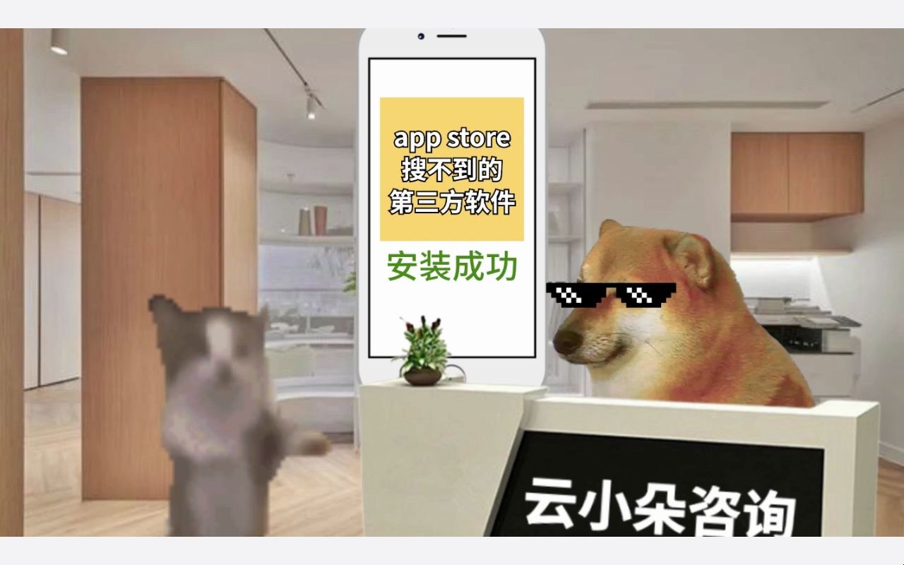 happy猫在它的苹果设备上安装上了appstore以外的应用!哔哩哔哩bilibili