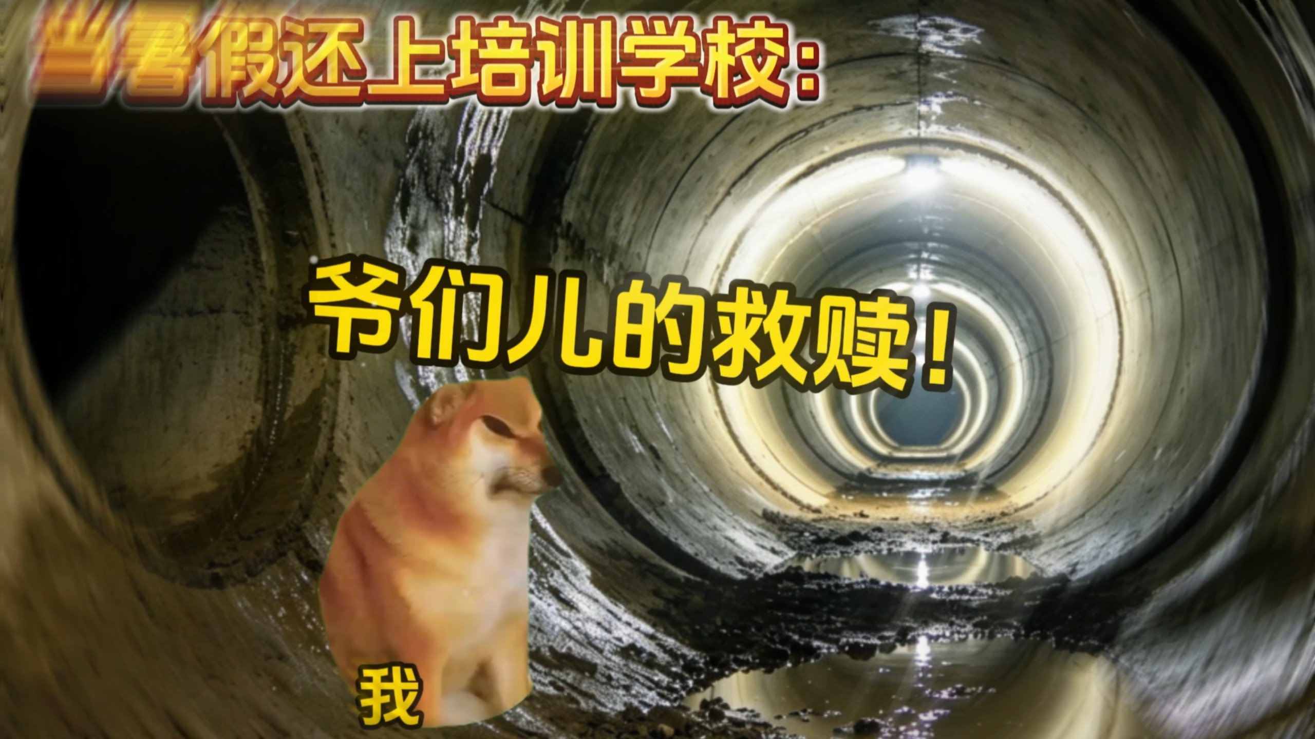 “学生钻下水道撤离”