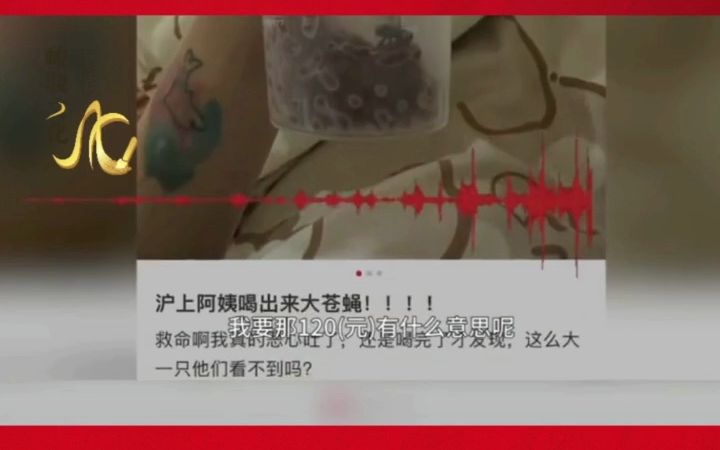 女子称在奶茶中喝出大飞虫哔哩哔哩bilibili