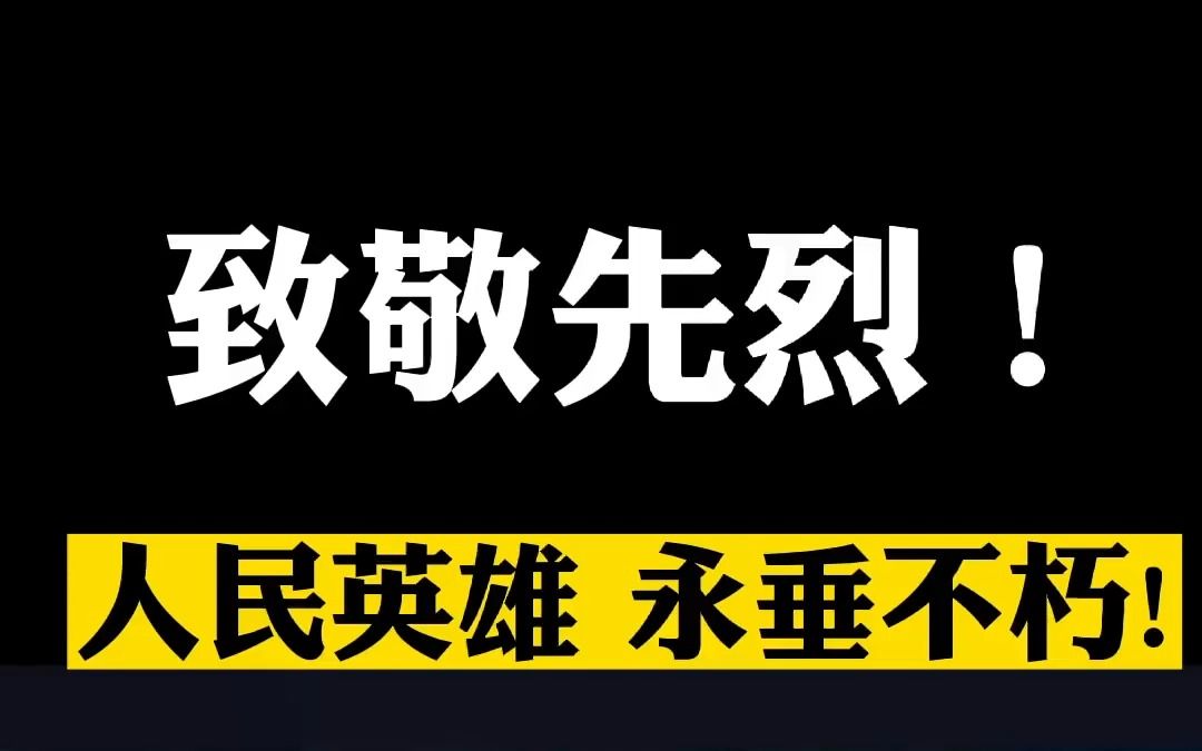 今天是第十个烈士纪念日.人民英雄永垂不朽.向先烈致敬!哔哩哔哩bilibili