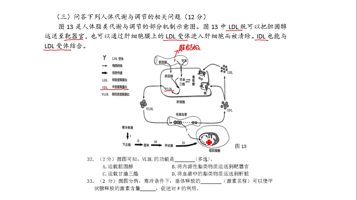 2020生物二模金山区综合题——(三)哔哩哔哩bilibili