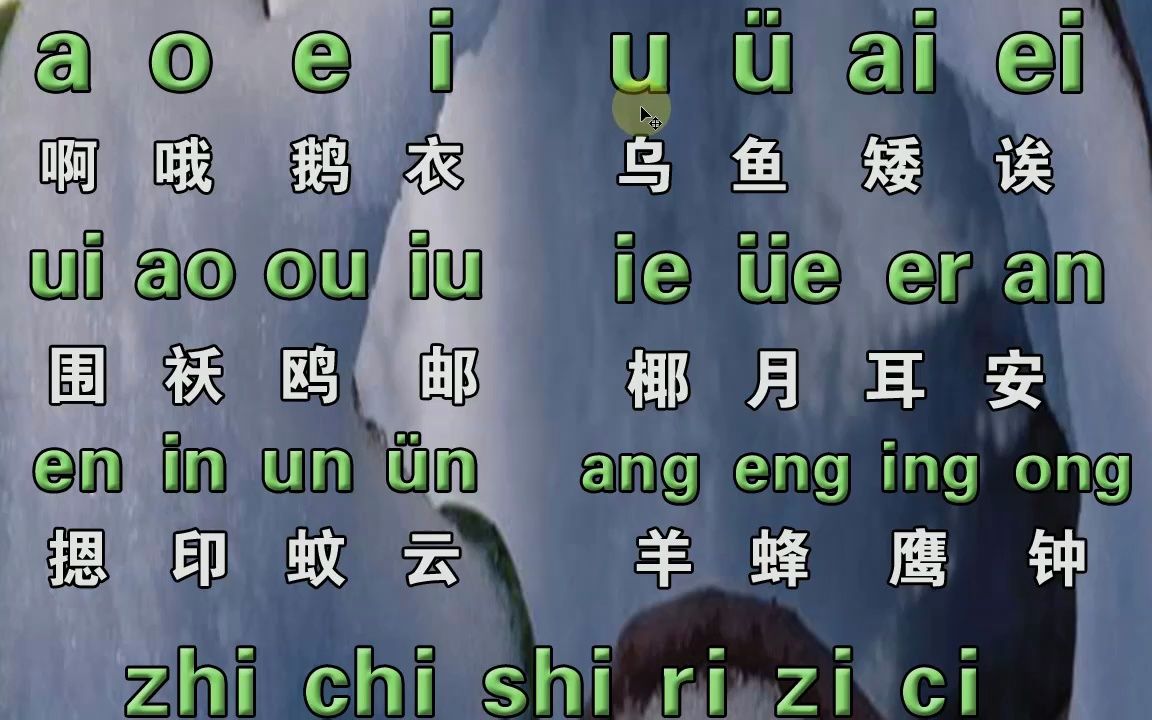 初学拼音打字视频,零基础入门学好拼音字母,电脑手机平板打字