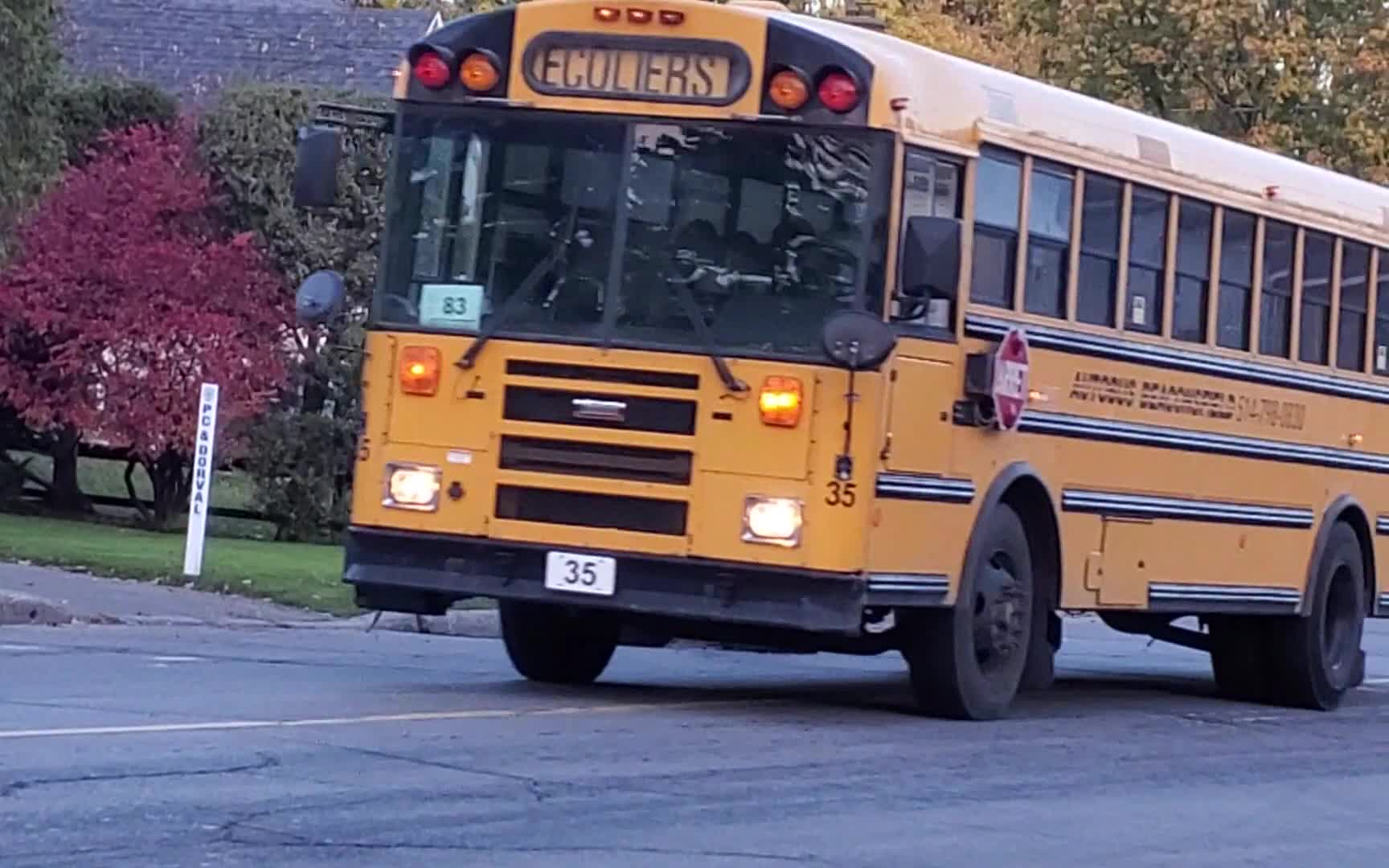 【北美卡车】加拿大校车 - 2021 年 11 月至 22 日