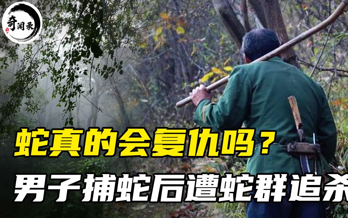 [图]湖北捕蛇人贪婪成性，一次打死73条蛇，引群蛇追杀最终殒命