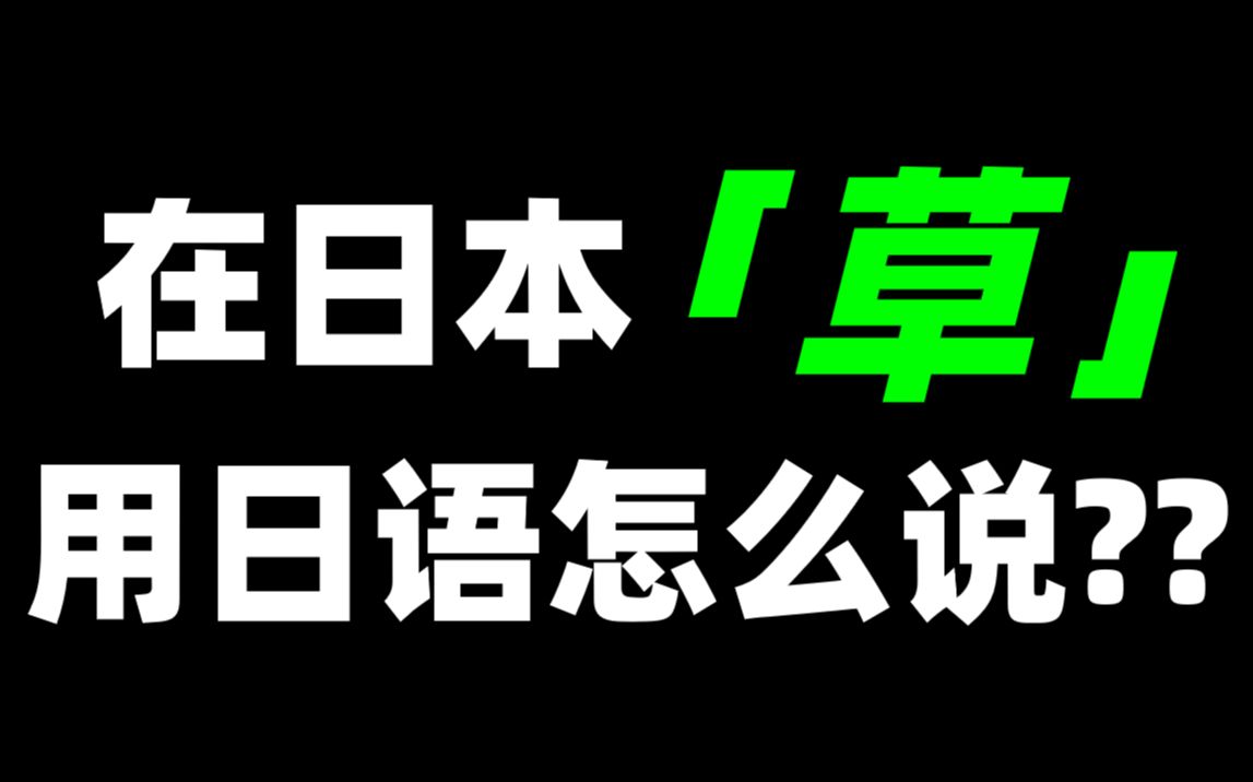 在日本“草”用日语怎么说?哔哩哔哩bilibili