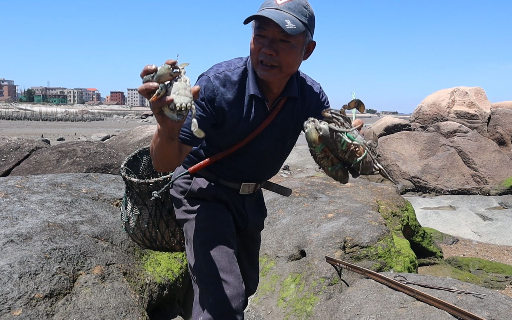 泰叔赶海太厉害了专挖土包沙包一个都跑不掉提了满满两手螃蟹