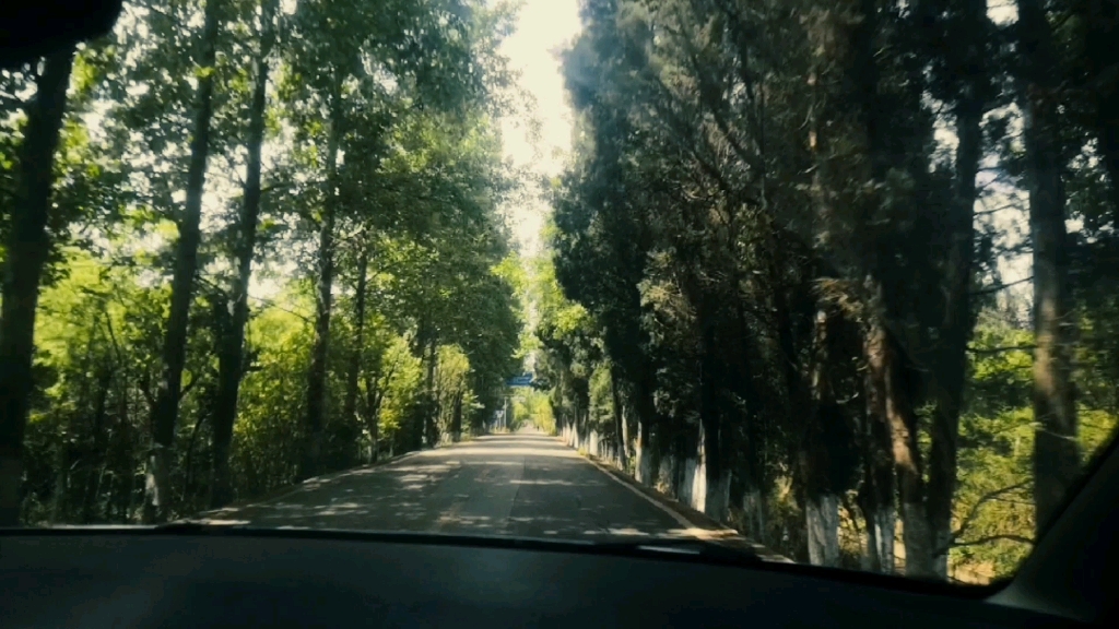 埋骨何須桑梓地,人生何處不青山!