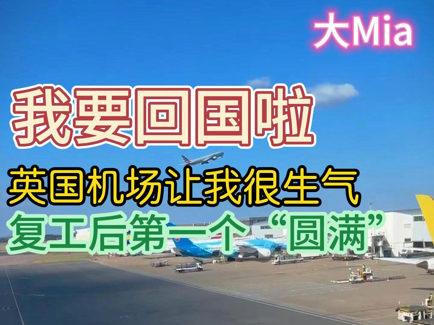 大Mia走着瞧~回国啦~哔哩哔哩bilibili