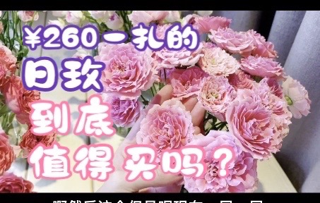 【源儿的花Vol.12】6种日本玫瑰开箱测评|结论是除了红茶,都不值得!哔哩哔哩bilibili