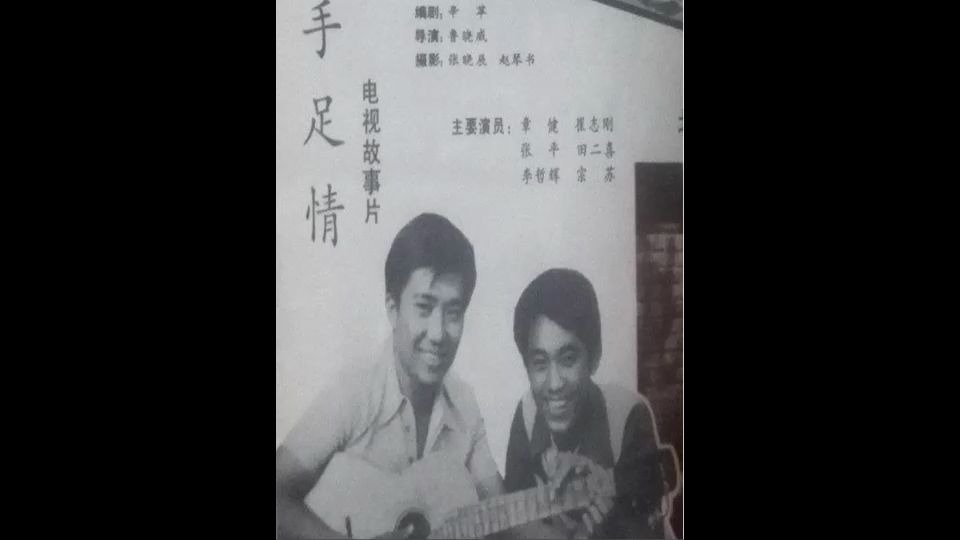 1981电视剧手足情插曲我们正当年轻的时候哔哩哔哩bilibili