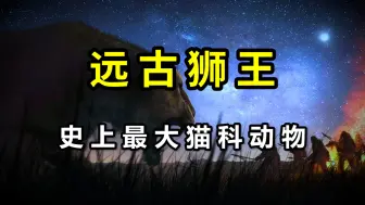 Download Video: 史上最大的猫科动物，竟因颜值问题而绝后