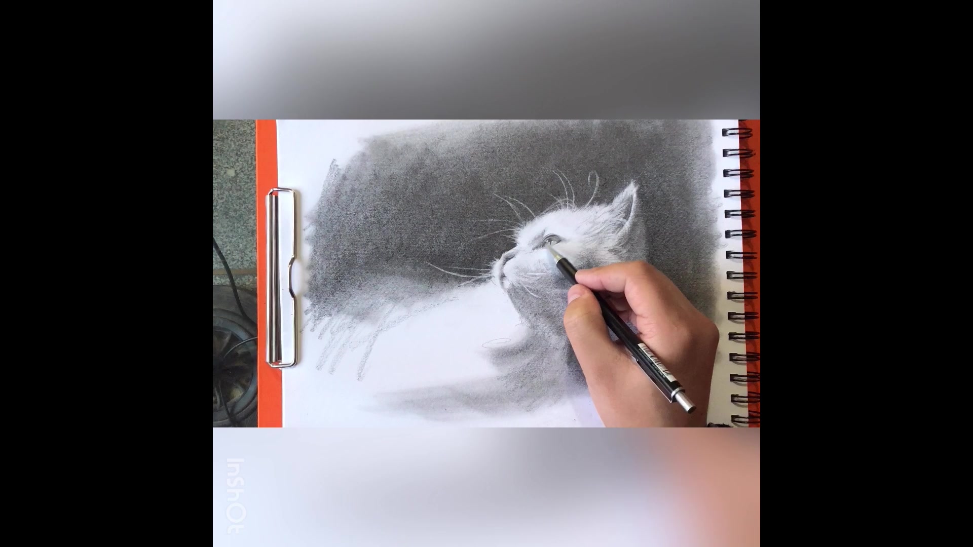 素描猫咪教学视频(二)