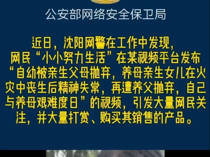 百万粉丝网红“小小努力生活”因涉嫌编造虚假身世卖惨牟利等扰乱公共秩序在直播时被当场抓获哔哩哔哩bilibili