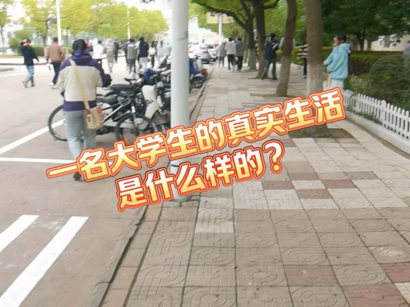 [图]一名大学生最真实的生活是什么样的？