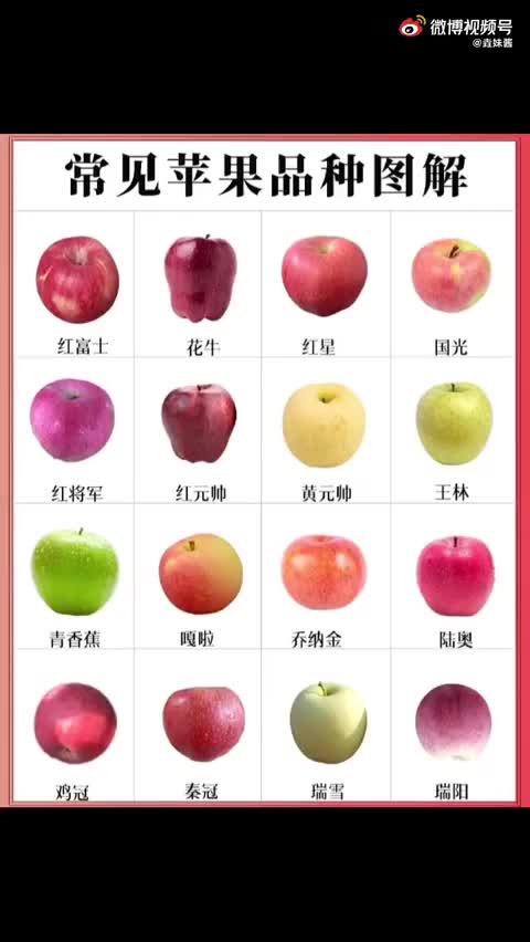 常见苹果品种图解