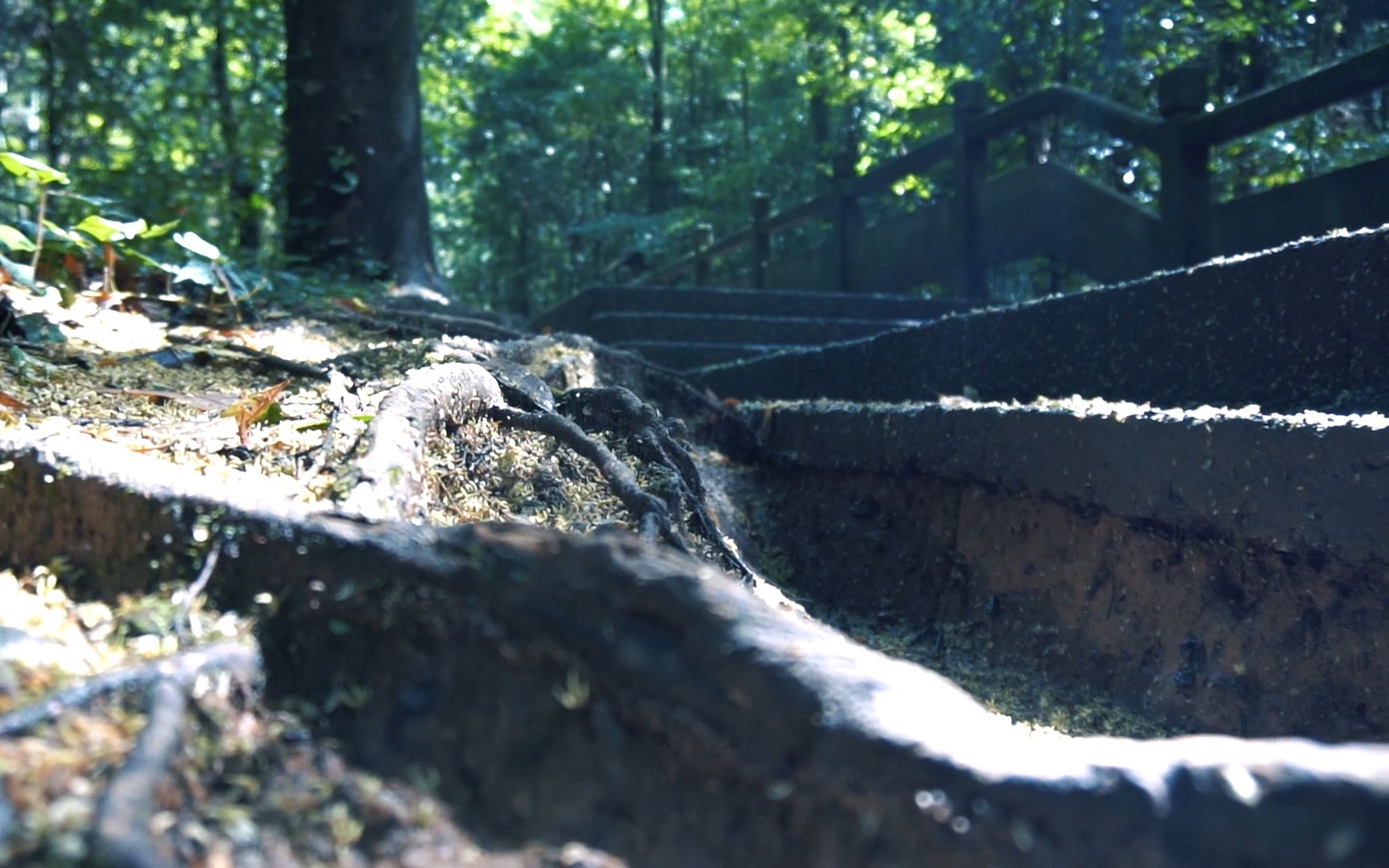 【在5A风景区拍微距?】Sonya6400+NiSi近摄镜雨季崀山哔哩哔哩bilibili