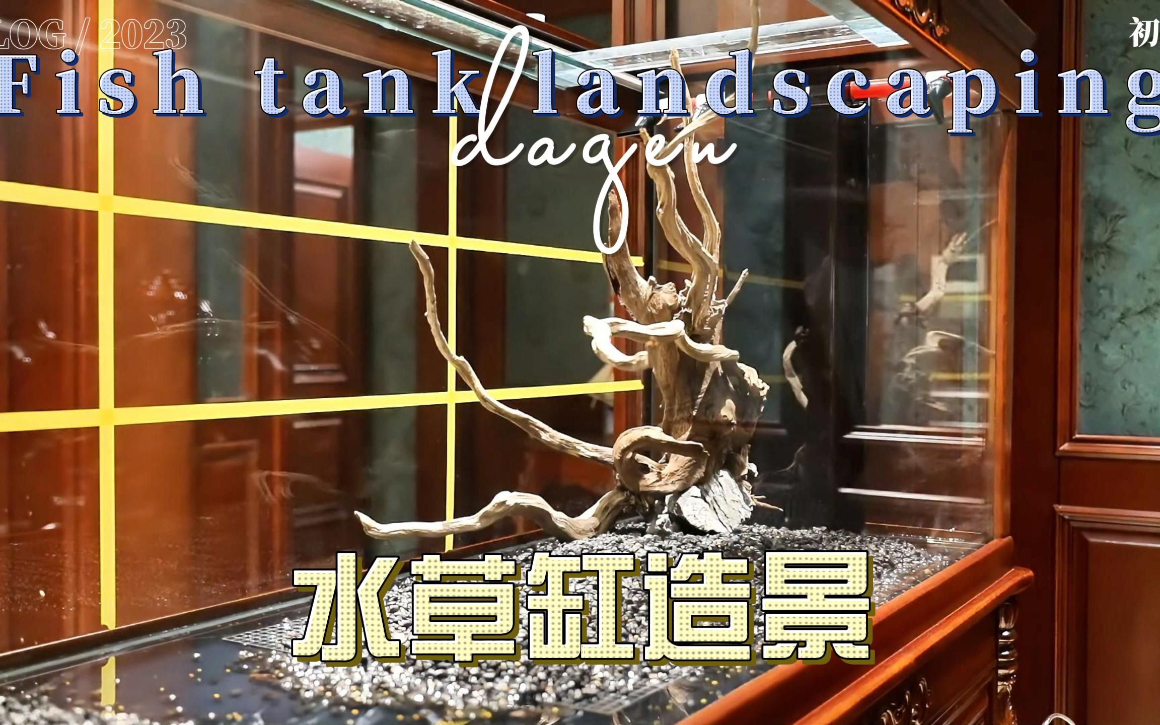 水草缸新开缸造景沉木骨架水草泥火山石陶粒底床超详细新手开缸教程