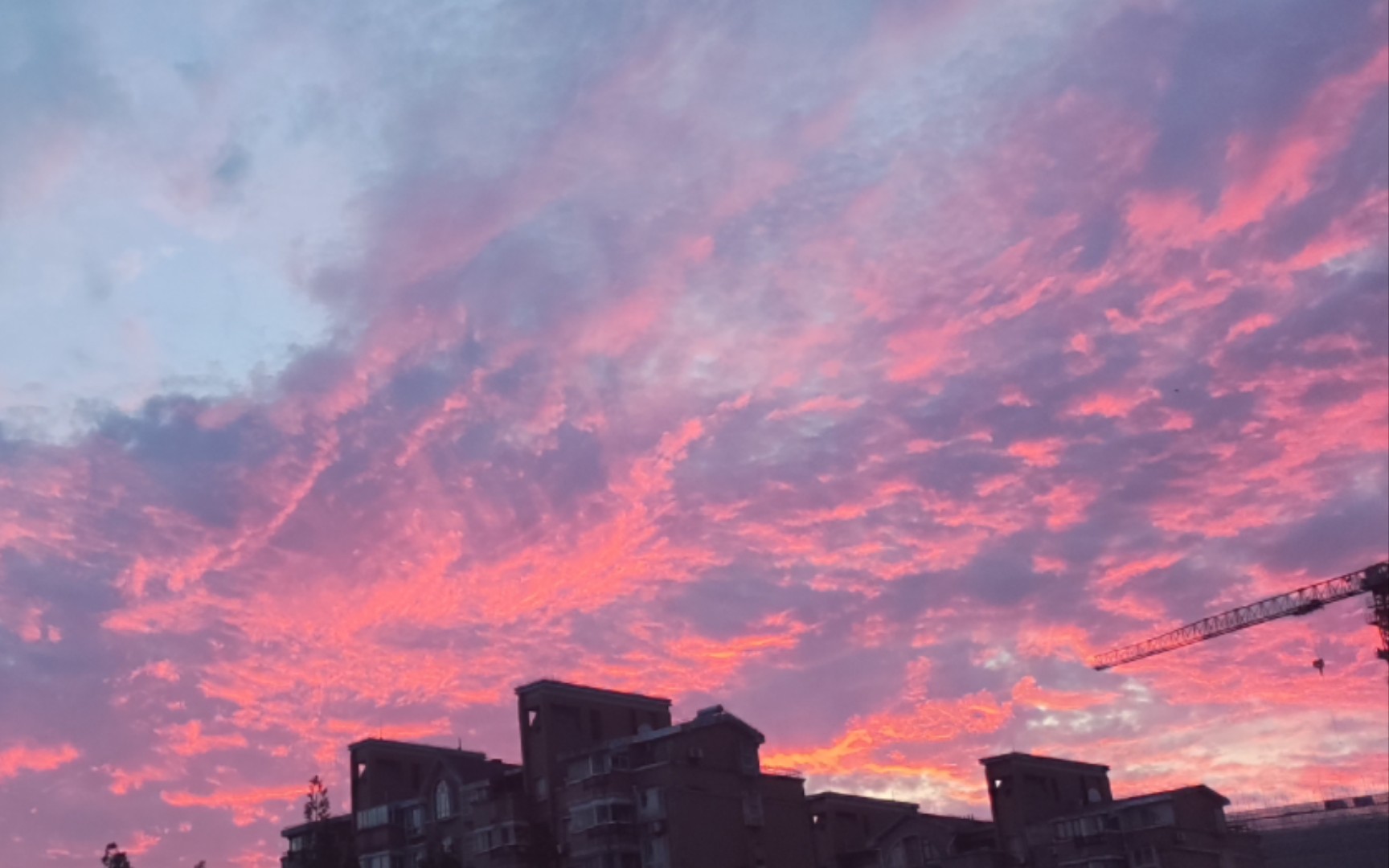 上海晚霞:下班后晚霞可以治愈我一天的麻木