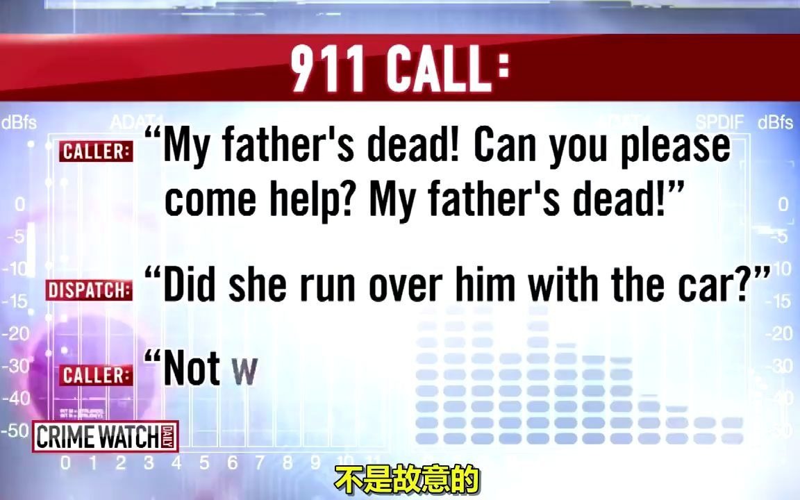 911报警电话记录美国曾发生的一起案件哔哩哔哩bilibili