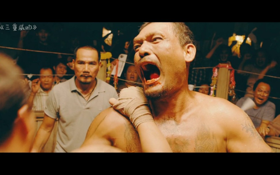泰国拳王托尼贾的电影图片