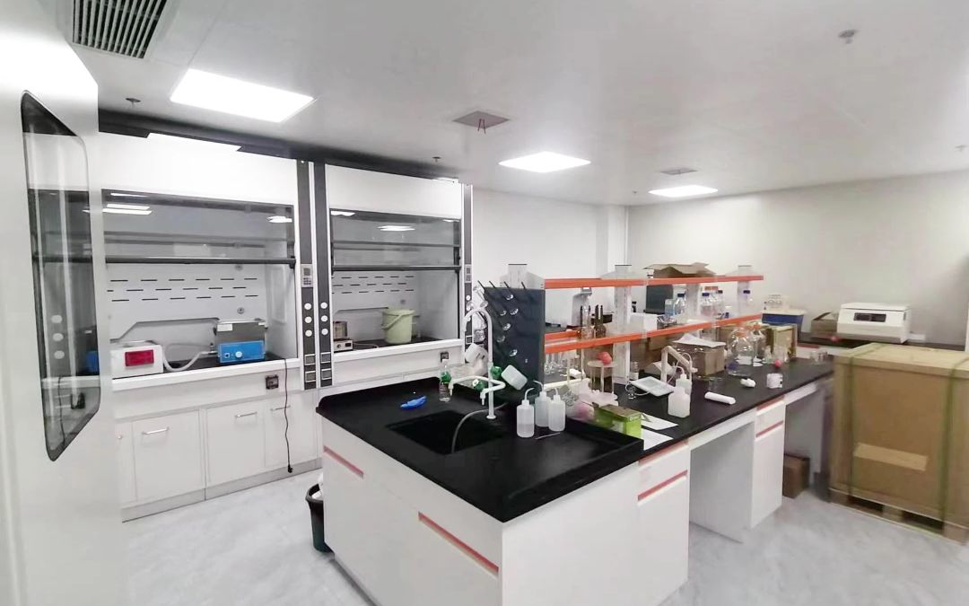 陕西某食品厂实验室通风柜实验台完工案例展示