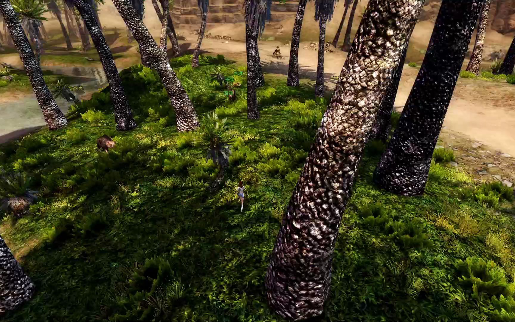 激战2 狮子王辛巴