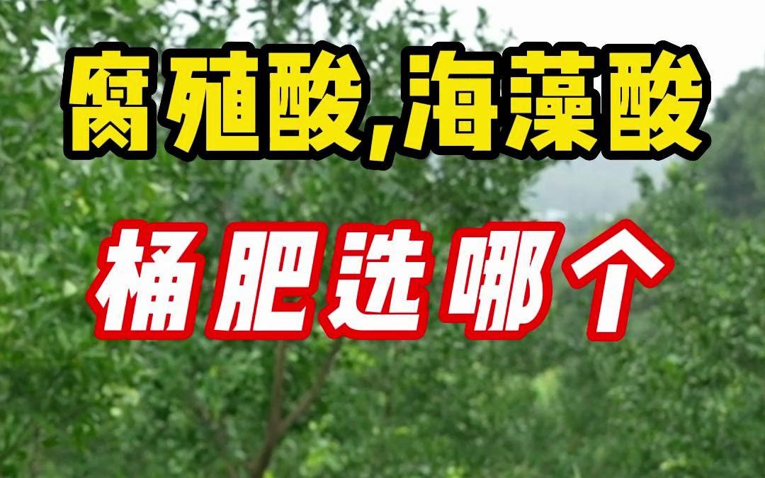 看完这个视频,腐殖酸水溶肥、海藻酸水溶肥怎么选,怎么用你就懂了!哔哩哔哩bilibili