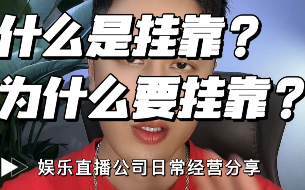 公会如何挂靠,为什么大家要专业挂靠?挂靠公会有哪些重点?哔哩哔哩bilibili