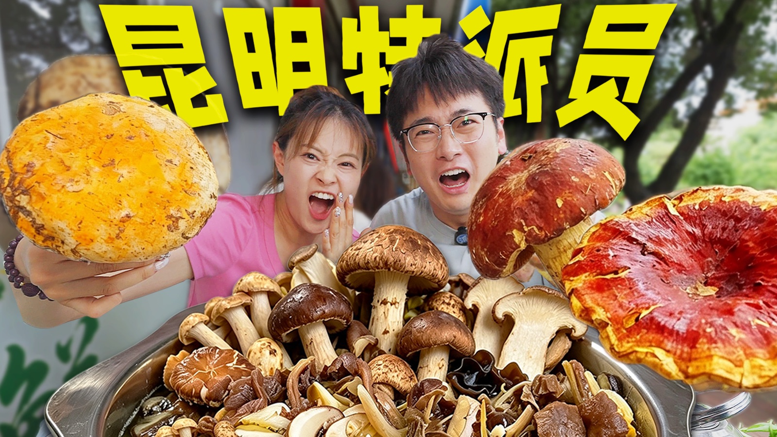 被5000名云南人操控的昆明之行，外地人当场傻眼了...