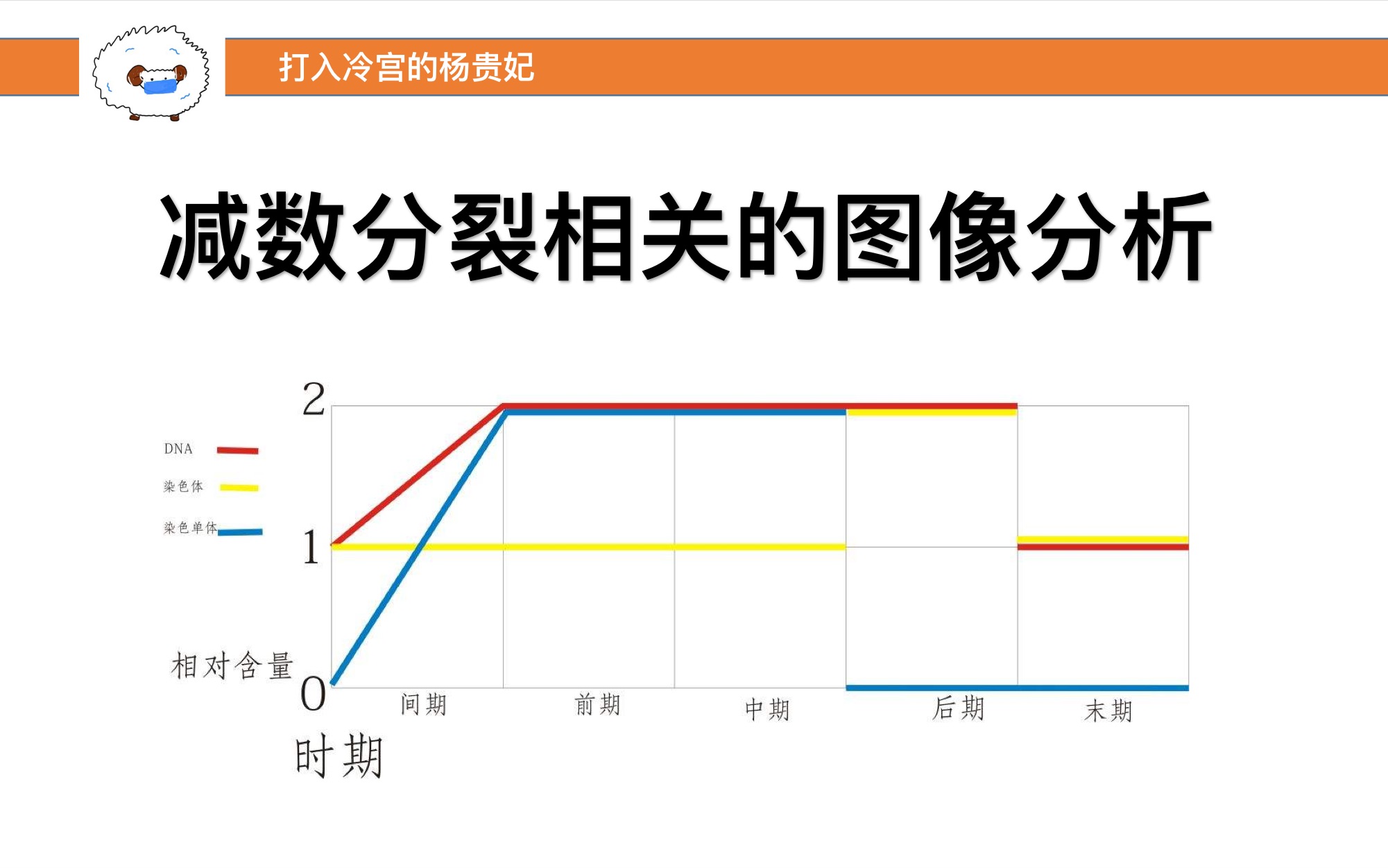 减数分裂和有丝分裂图像还没搞懂?快来看看吧~哔哩哔哩bilibili